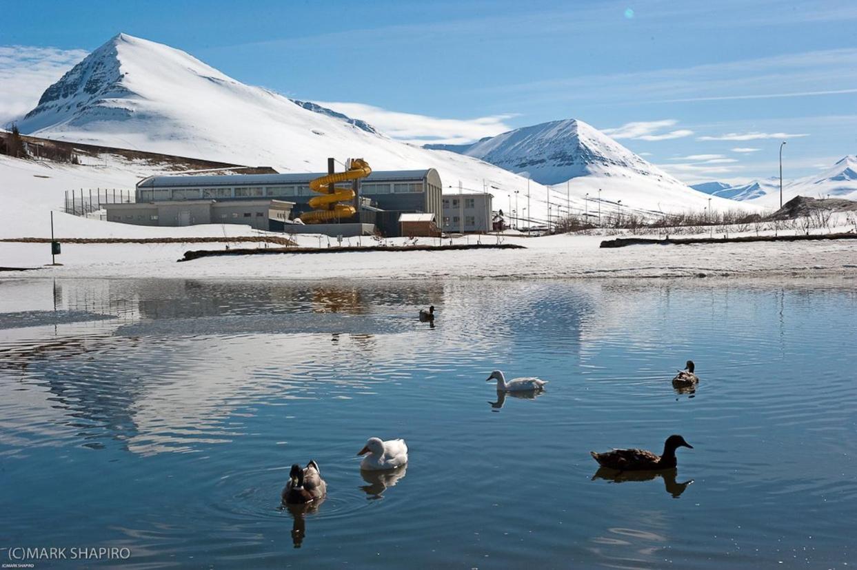 The Northern Comfort Inn Olafsfjordur Exterior photo